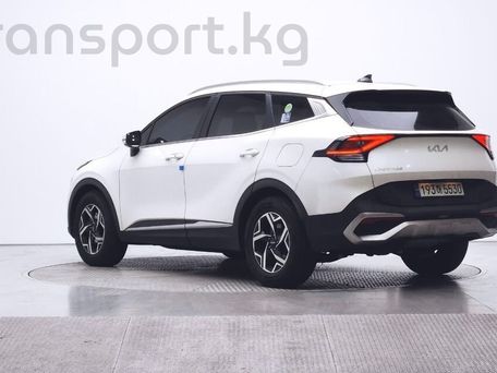 Kia Sportage, 2024 — photo 2