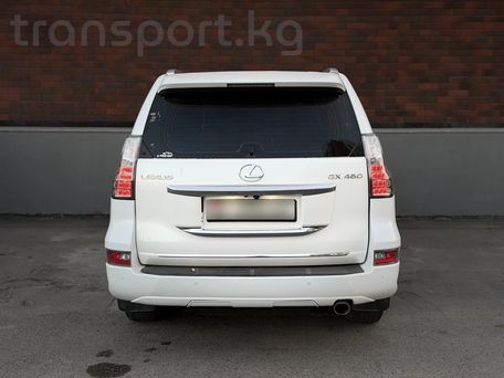 Lexus GX, 2013 — 照片 5
