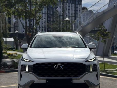 Hyundai Santa Fe, 2022 — сүрөт 1