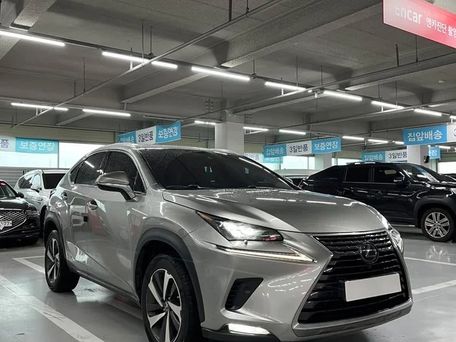 Lexus NX, 2021 — photo 1