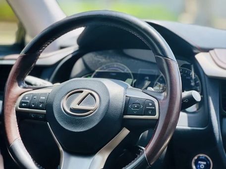 Lexus RX, 2020 — photo 12