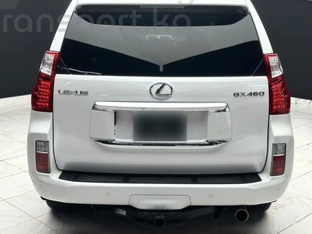 Lexus GX, 2023 — фото 5