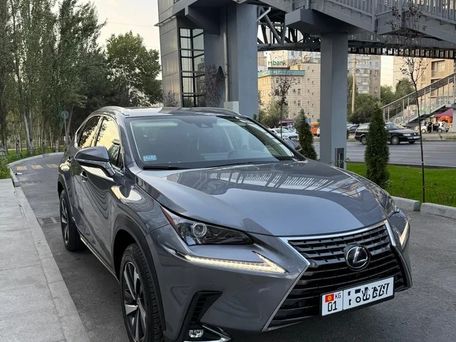 Lexus NX, 2020