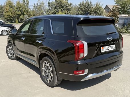 Hyundai Palisade, 2020 — 照片 6