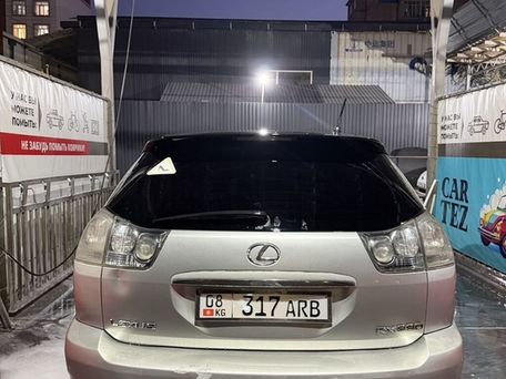 Lexus RX, 2003 — 照片 13