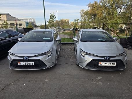 Toyota Levin, 2020 — сүрөт 2
