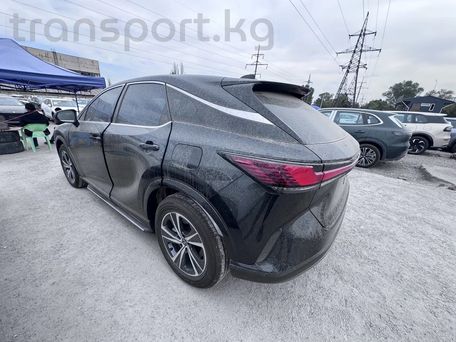 Lexus RX, 2025 — фото 10