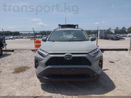 Toyota RAV4, 2023