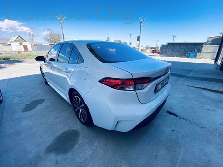Toyota Levin, 2023 — 照片 3
