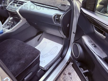 Lexus NX, 2016 — photo 8