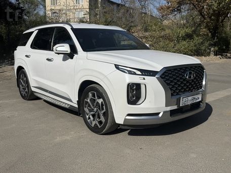 Hyundai Palisade, 2020 — фото 2