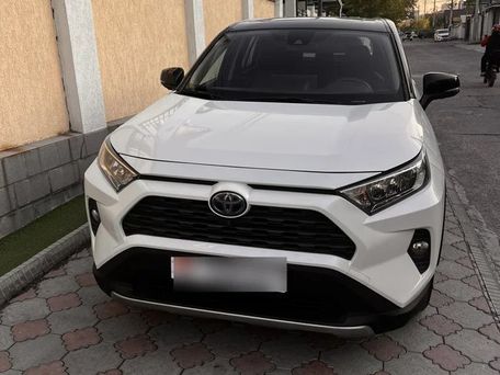 Toyota RAV4, 2020 — фото 1