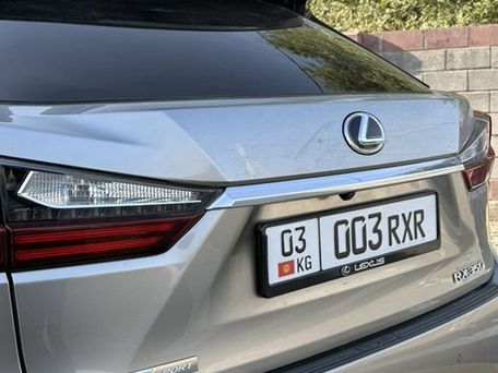 Lexus RX, 2018 — фото 13
