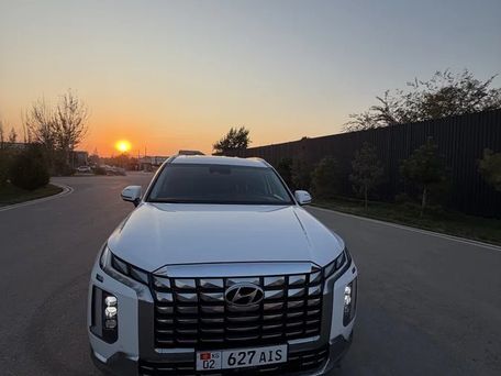 Hyundai Palisade, 2023 — photo 2