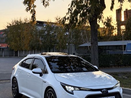 Toyota Levin, 2021 — 照片 2