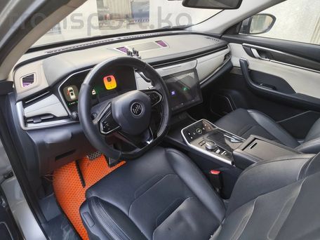 Weltmeister EX5, 2020 — photo 7