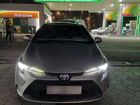 Toyota Corolla, 2019 — фото 1