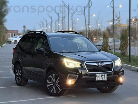 Subaru Forester, 2019 — 照片 2