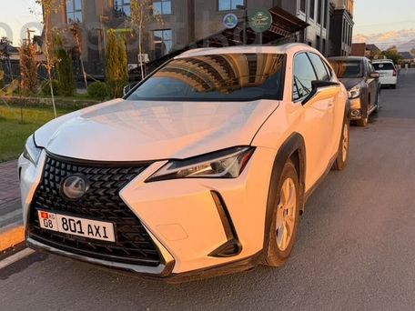 Lexus UX, 2019 — фото 1