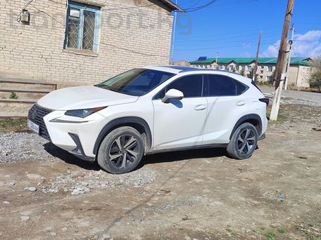 Lexus NX, 2019 — photo 3