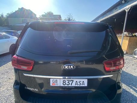 Kia Carnival, 2019 — фото 12