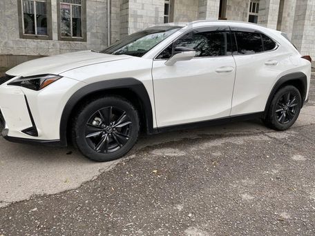 Lexus UX, 2018 — фото 9