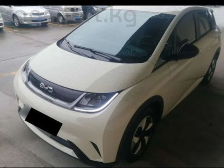 BYD Dolphin, 2026