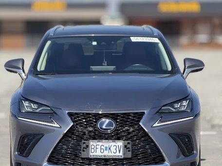 Lexus NX, 2020 — фото 1