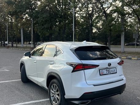 Lexus NX, 2019 — сүрөт 4