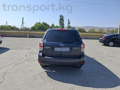 Subaru Forester, 2018 — сүрөт 3