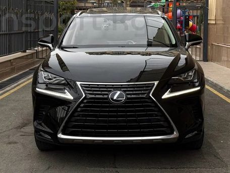 Lexus NX, 2021 — фото 2