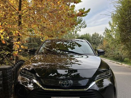 Toyota Venza, 2021 — photo 7