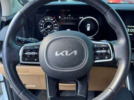 Kia Carnival, 2022 — фото 19