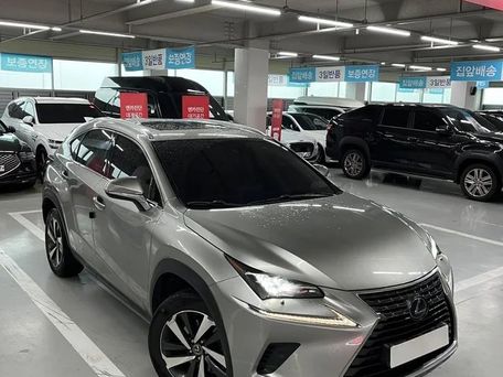 Lexus NX, 2021 — photo 2