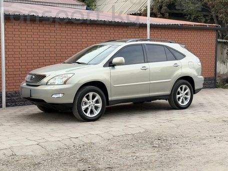 Lexus RX, 2008 — фото 4