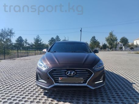 Hyundai Sonata, 2019 — фото 1