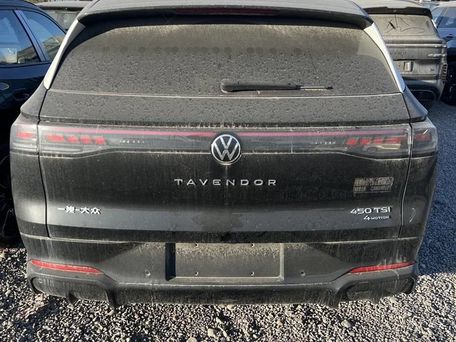 Volkswagen Tavendor, 2026 — 照片 9
