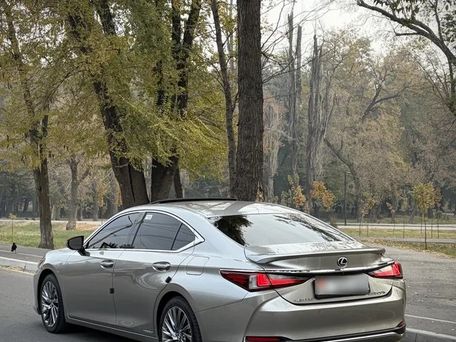 Lexus ES, 2019 — 照片 7