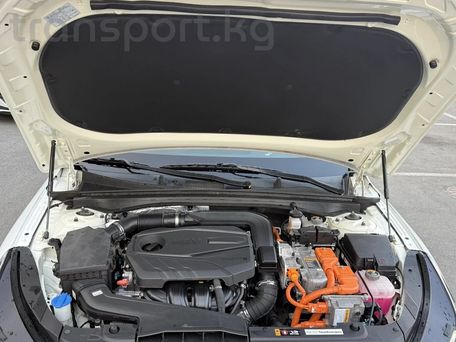 Kia K5, 2020 — photo 11
