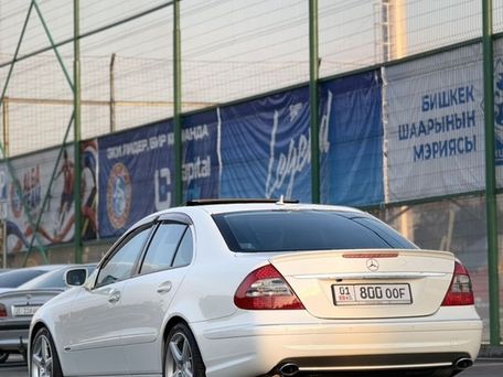 Mercedes-Benz E-Класс, 2008 — фото 14