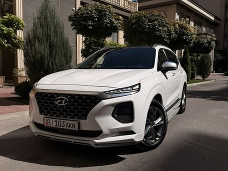Hyundai Santa Fe, 2019 — фото 1