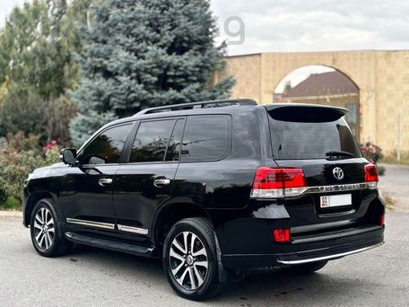 Toyota Land Cruiser, 2008 — 照片 3
