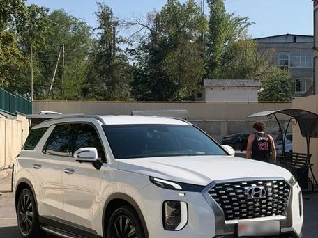 Hyundai Palisade, 2019 — photo 3