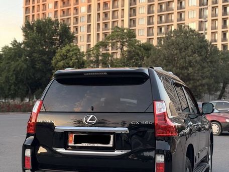 Lexus GX, 2010 — фото 10
