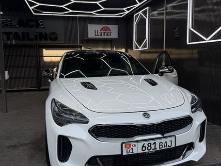 Kia Stinger, 2018