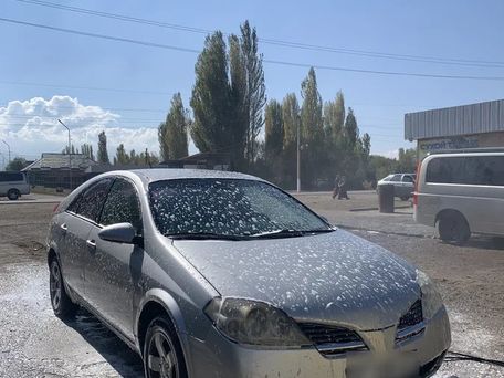 Nissan Primera, 2003 — сүрөт 1