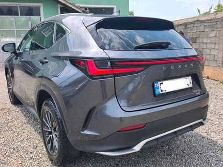 Lexus NX, 2024 — сүрөт 10