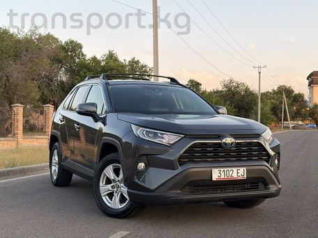 Toyota RAV4, 2020 — фото 2