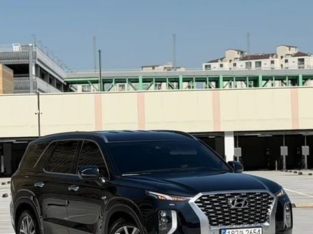 Hyundai Palisade, 2019 — 照片 2