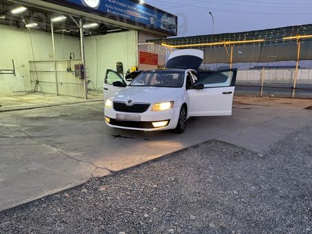 Skoda Octavia, 2016 — 照片 8